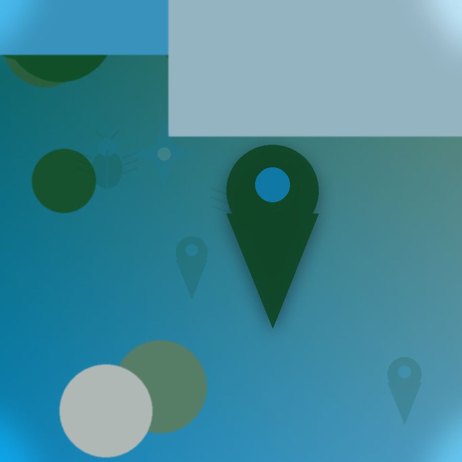 Services